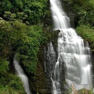 每次冲奶粉摇晃多长时间？游戏画面